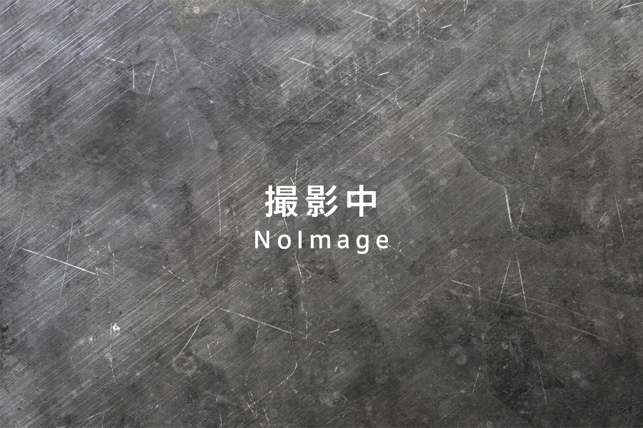 アイアンシェルフ03